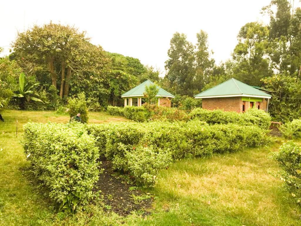 Hotel Amajambere Iwacu Community Camp Kisoro Exterior foto