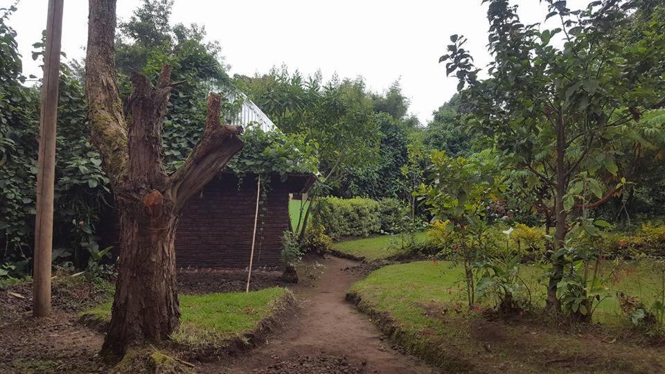 Hotel Amajambere Iwacu Community Camp Kisoro Exterior foto